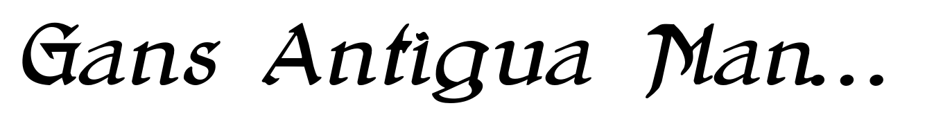 Gans Antigua Manuscrito Italic